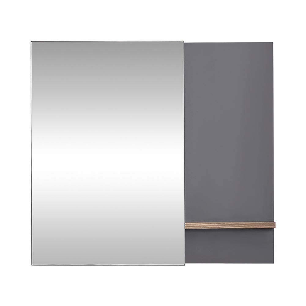 ACTION MIRROR