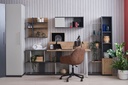 HARVEY STUDY TABLE WALL UNIT